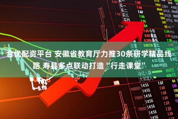 合优配资平台 安徽省教育厅力推30条研学精品线路 寿县多点联动打造“行走课堂”